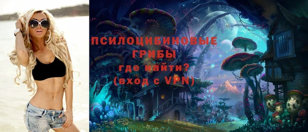 гидропоника Богородск