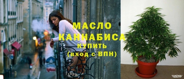 mix Богородицк