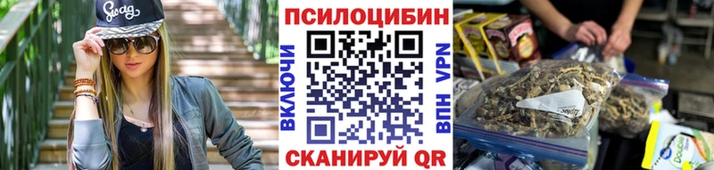 Купить закладки  Бакал  Псилоцибиновые грибы прущие грибы 